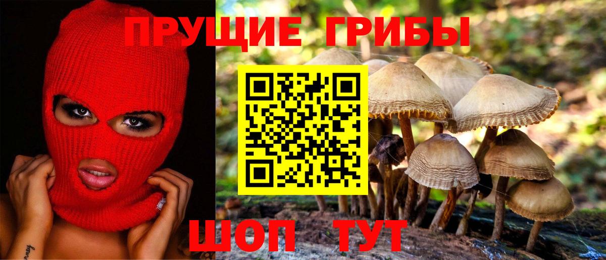 Галлюциногенные грибы Psilocybe  Вход с VPN  Галлюциногенные грибы мицелий  Кушва 